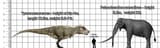 paleo vs trex