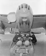 Mosquito RAF