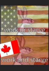 Gu37YYvXgAA0L9O