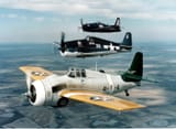 FM_Wildcat_F6F_Hellcat_and_F8F_Bearcat_warbirds_in_flight