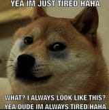 1746978632702114
