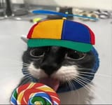 1731728187217502