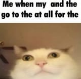1746923438198113