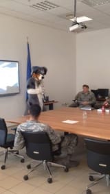 airforce_furry_2