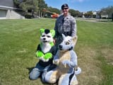 airforce_furry_1