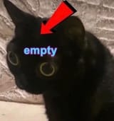 1727973603378435