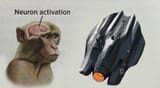 f35_neuron_activation
