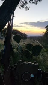 innadesert
