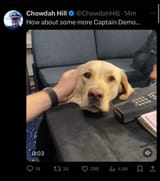 Whose a good boy