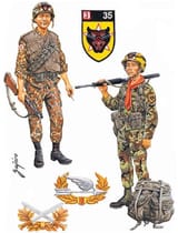 4e1f4b34c56a1194069f72e5fdcc0538--military-art-military-uniforms