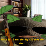 BIGCATE