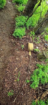 bait mine