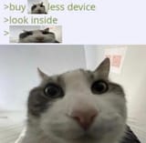 1736934689142271