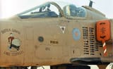 buster_gonad_jaguar