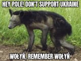wolyn_remember2