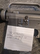 63969551