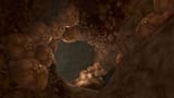 1200px-Flood_biomass