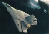 NATF-1S