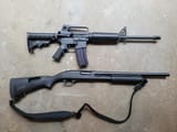 bushyremington