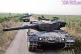 Leopard40-6-04