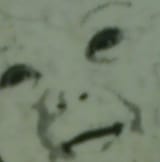 1297041332364