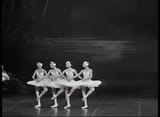 swan lake