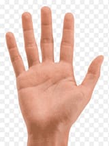 png-clipart-hand-arecaceae-icon-hands-hand-people-arm-thumbnail