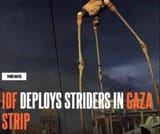 Striders in Gaza