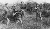 VIETCONG_SHOWING_OFF_001.32582415_std