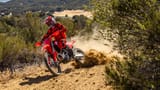 trail-competition-crf250rx-2400x1350