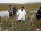 North_Korea_52114