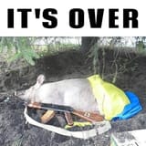 hoholover