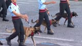 Défilé militaire du 14 juillet 2025. - YouTube - 1-20-01