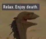 enjoy