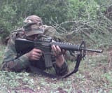 XM16