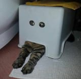 Suspicious furnature