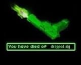You Have Died Of Dropped Sig