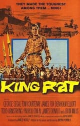 King_Rat