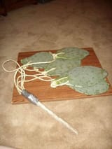cactusflail