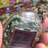 tomogotchi