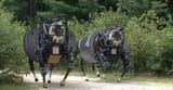 mechahorse