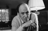 Roald-Dahl-la-reecriture-de-certains-mots-de-ses-livres-suscite-l-indignation-au-Royaume-Uni-2415534869