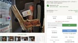 ZOGNALD GUN