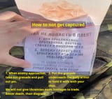 russian surrender instructions2