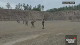Screenshot 2025-07-15 at 03-42-04 -government militia plot in Quebec - Google Search