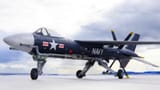 martin262