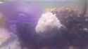 hampture_1491307257667_thumb.jpg
