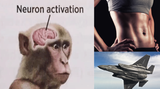 f35 monke
