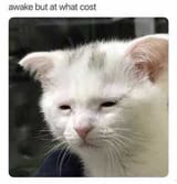 1665296815148499