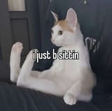 1749746033365391